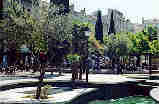La Place du Cours Julien