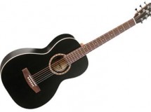 guitare Art § lutherie Compacte ami