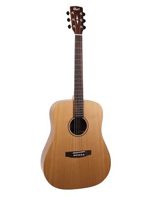 guitare folk Cort Earth Grand BW