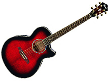 guitare Ibanez AEG20