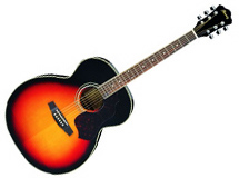 guitare folk Ibanez SGT130E-VS