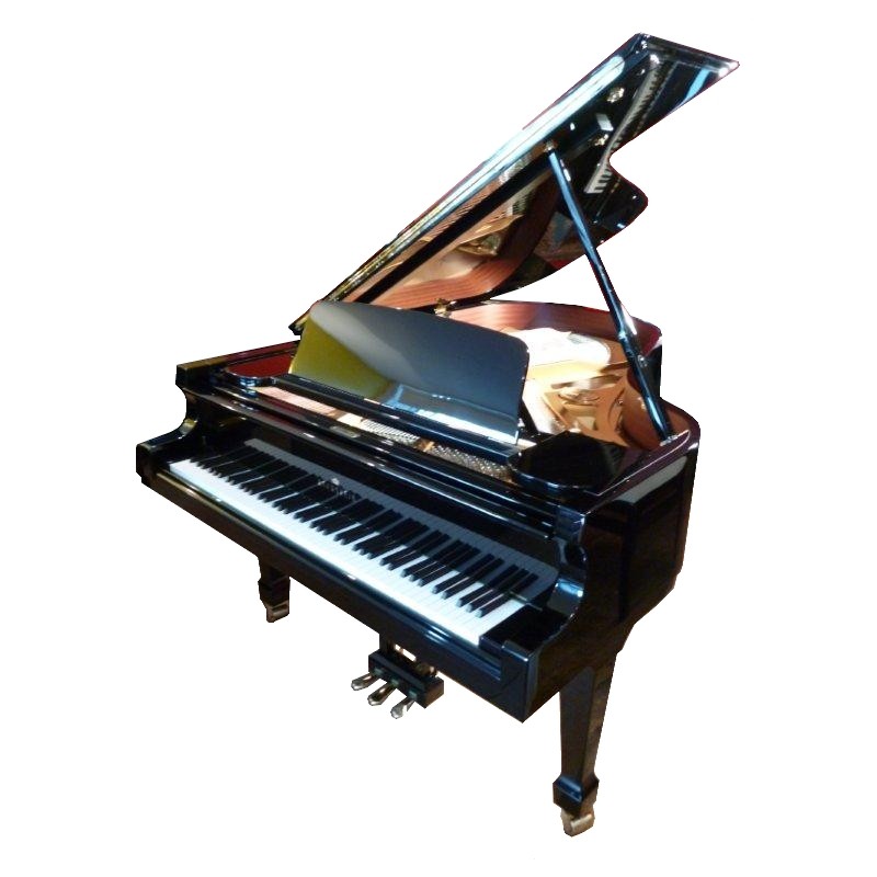 bechstein grande