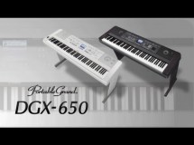 clavier arrangeur dgx 650 blanc noir