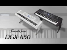 clavier arrangeur dgx 650 blanc noir