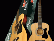 pack ibanez guitare avec accessoires
