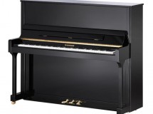 piano w hoffmann tradition noir