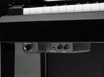 nu1 detail 2 petite